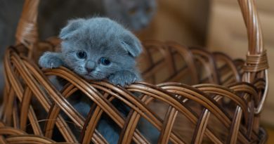 How To Deal With Frustration Shabash Website Urdu Blogs Pakistan