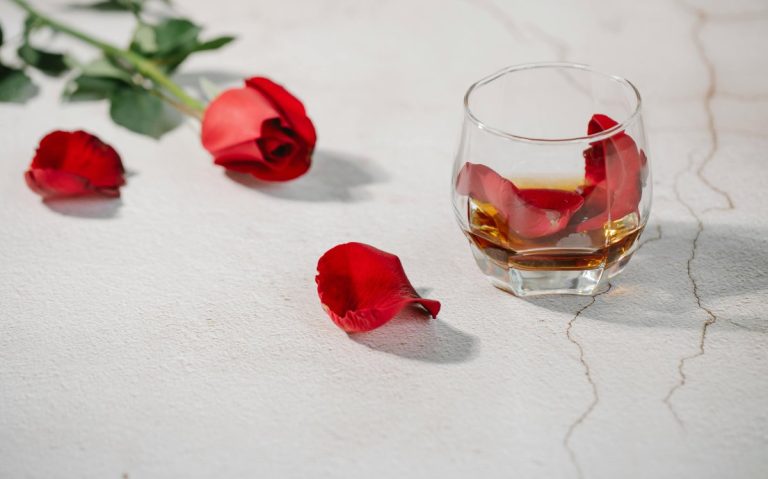 A Rose Does Not Wither For Fear Of Thorns Shabash Website