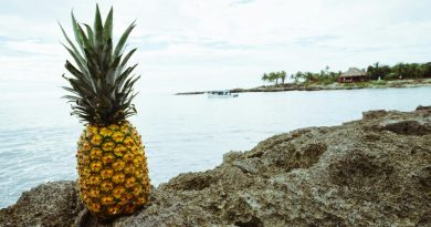 How Do You Get Allah Blessing In Sustenance Shabash Blogs Pakistan
