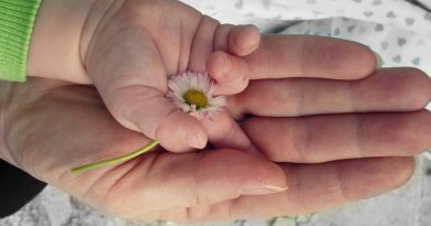 Take Responsibility For Your Children Shabash Blogs Pakistan