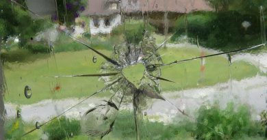 Some Desire Remains Unfulfilled Shabash Pakistan Website