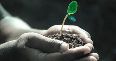 Why Is It Important To Learn Skills With Education Shabash Pakistan Blogs