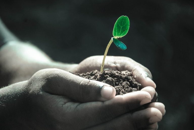 Why Is It Important To Learn Skills With Education Shabash Pakistan Blogs