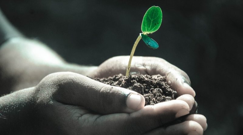 Why Is It Important To Learn Skills With Education Shabash Pakistan Blogs