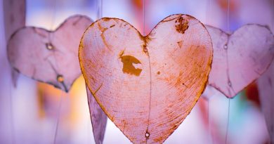 Best Principles For Building Strong Relationships Shabash Pakistan Blogs In Urdu