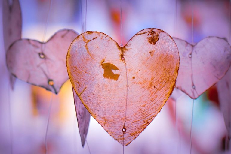 Best Principles For Building Strong Relationships Shabash Pakistan Blogs In Urdu