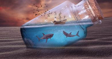 Keep The Sharks Behind You Shabash Blogs In Urdu Pakistan