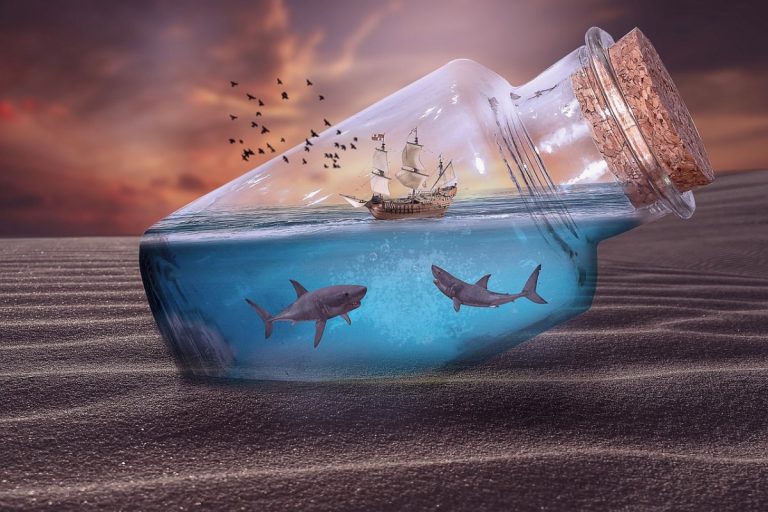 Keep The Sharks Behind You Shabash Blogs In Urdu Pakistan