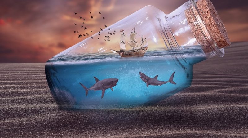 Keep The Sharks Behind You Shabash Blogs In Urdu Pakistan