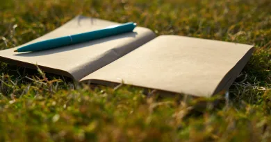 Ways To Solve Everyday Problems Shabash Blogs In Urdu Pakistan