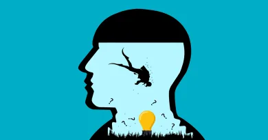 دنیا میں سب سے بڑی جیل