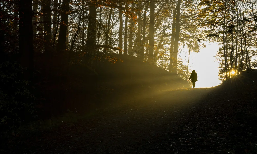 زندگی میں روشنی کی تلاش