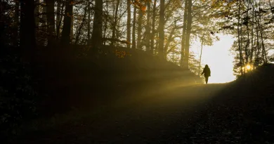 زندگی میں روشنی کی تلاش