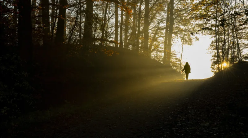 زندگی میں روشنی کی تلاش