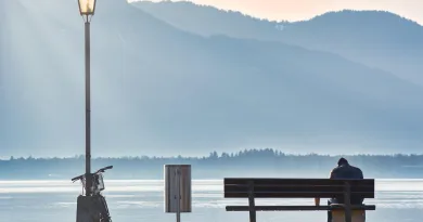 He who makes friends with his loneliness will never be in need of anyone shabash blogs pakistan