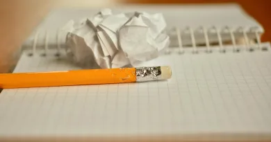 The person who learns from his mistakes is the real winner.