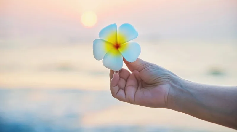 Kamiyabi aur Sukoon ka Raaz shabash blogs in urdu pakistan