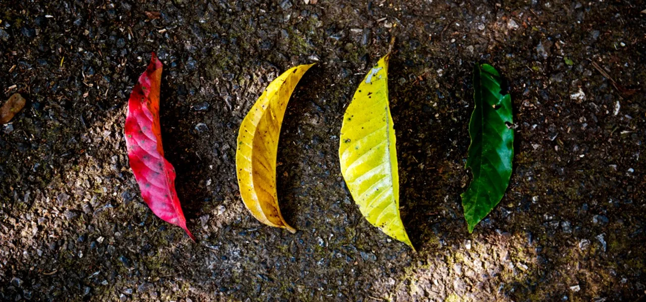 Why do we change shabash pk blogs in urdu pakistan بدلتے