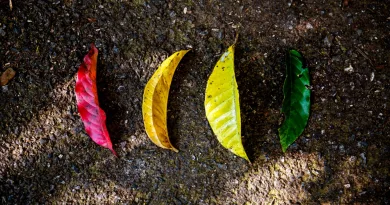 Why do we change shabash pk blogs in urdu pakistan بدلتے