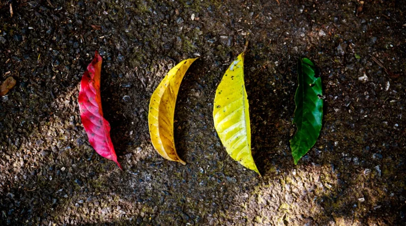 Why do we change shabash pk blogs in urdu pakistan بدلتے