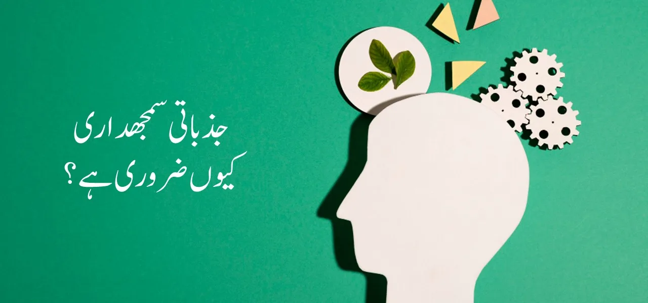 Emotional intelligence shabash blogs in urdu جذباتی سمجھداری